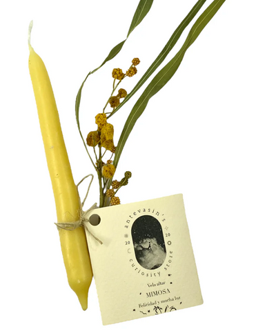 Antevasin's: Velas ritual - Nuevos modelos (Varios tipos) - 20% descuento