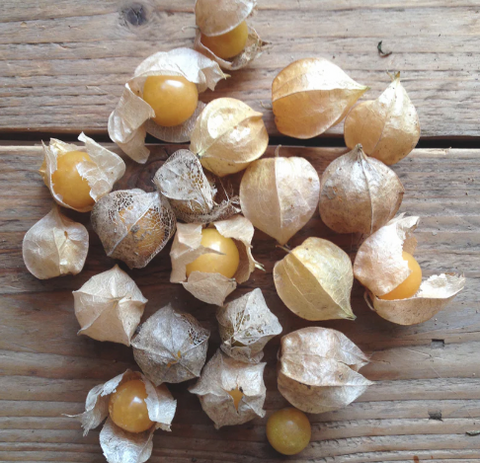 Piccolo: Semillas de frutas inusuales - Varios tipos - 50% descuento