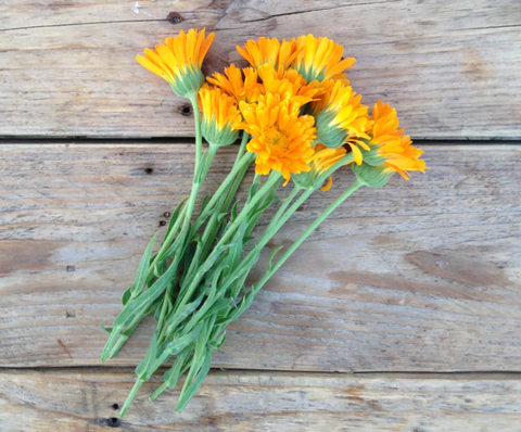 Piccolo: Semillas de flores comestibles - Varios tipos - 50% descuento