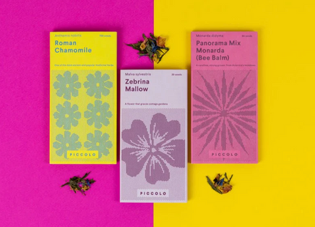 Piccolo: Semillas infusiones - Roman Camomile -- 50% descuento