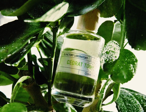 Liquides Imaginaires IMAGINARIUM: CEDRAT TONIC - 30% DESCUENTO