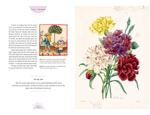 Witch's Garden (Sandra Lawrence) - 20% de descuento