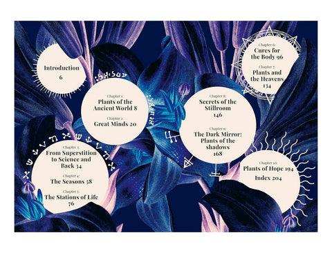 Witch's Garden (Sandra Lawrence) - 20% de descuento