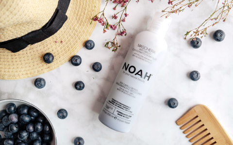 NOAH: 2.6 Anti Giallo Maschera con Arándano (Mascarilla violeta anti tonos amarillos) - 20% descuento