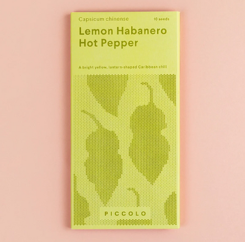 Piccolo: Semillas de plantas especial salsas - Varios tipos - 50% descuento