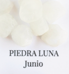 Fauna y Flora: Colgante de piedra semipreciosa