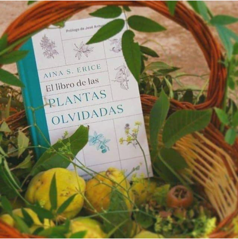 El libro de las plantas olvidadas: Una recuperación de los usos tradicionales de nuestras plantas (Aina S. Erice)