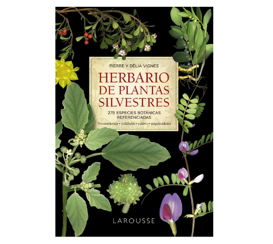 Herbario de plantas silvestres (Pierre Vignes y Délia Vignes)