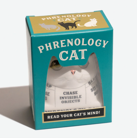 Cerámica: Phrenology Cat. Read your cat's mind! - 30% descuento