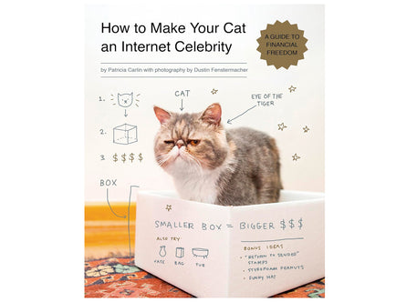 How to Make Your Cat an Internet Celebrity (Patricia Carlin)