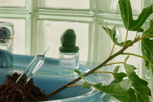 Fascent: Perfume I Fig You