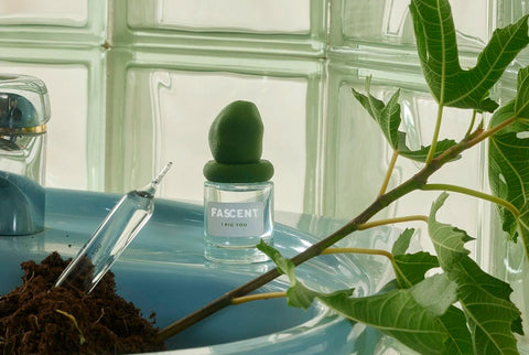 Fascent: Perfume I Fig You