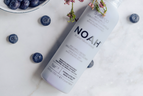NOAH: 1.9 Anti Giallo Shampoo con Arándano (Champú violeta anti tonos amarillos)