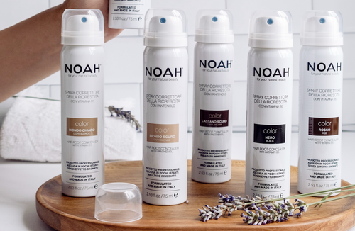 NOAH: Hair Root Conceale RED (Spray retoca raíces)