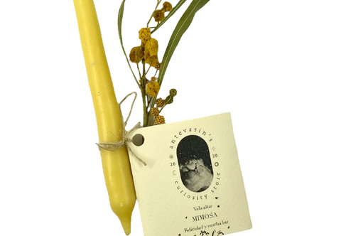 Antevasin's: Vela ritual amarilla MIMOSA (felicidad y alegría)