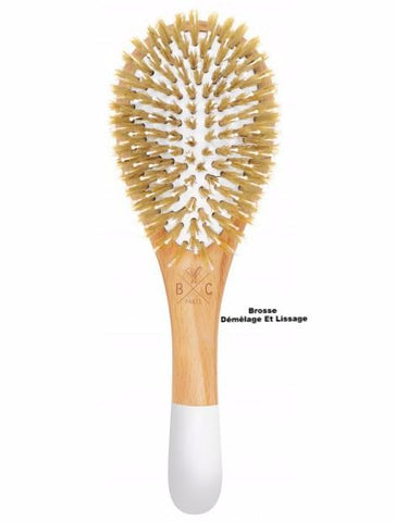 Brosse Démêlage et Lissage